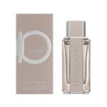 Bright Leather de Salvatore Ferragamo edt 100 ml para Caballero